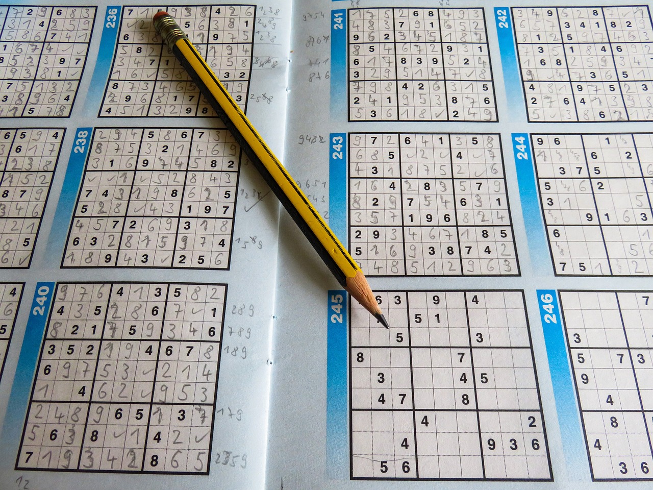 预测解答解释定义：新澳门资料大全正版资料·智慧版3.49