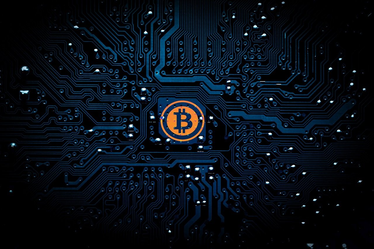 橘虞初梦 第63页