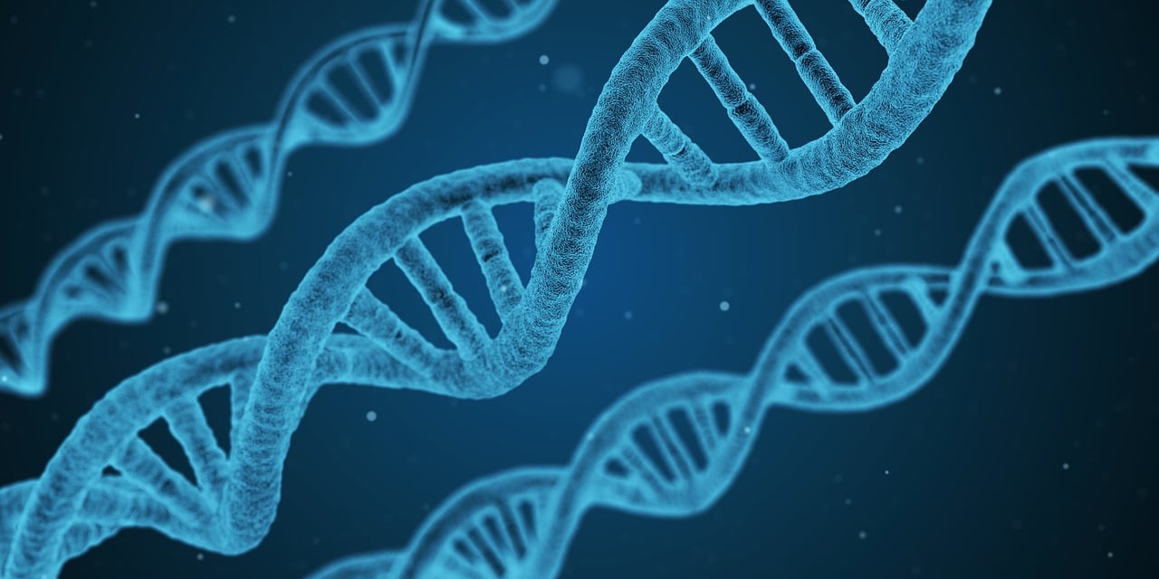 二四六好彩7777788888,新兴技术研究探讨_占位版45.872